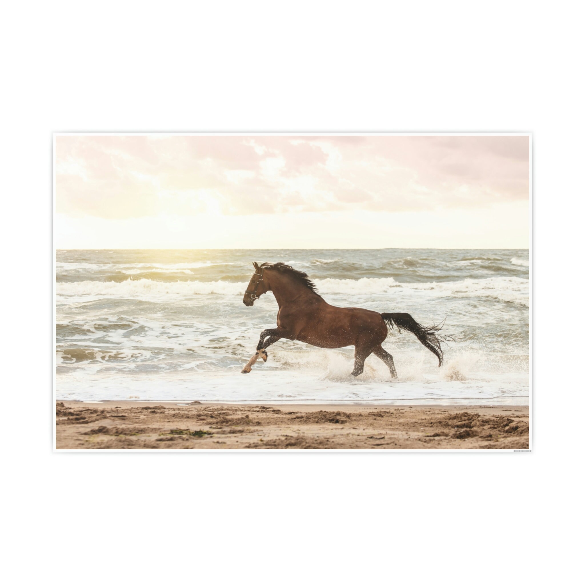 Horse on Beach Art Photography Poster Gift. Brown Horse and Beach