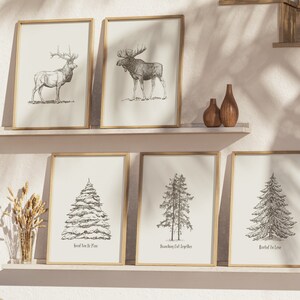 May include: Five framed prints with black and white illustrations of animals and trees. The top row features a moose and an elk. The bottom row features three different types of trees with the text "Rooted in Place", "Branching Out Together", and "Rooted in Love" underneath each.