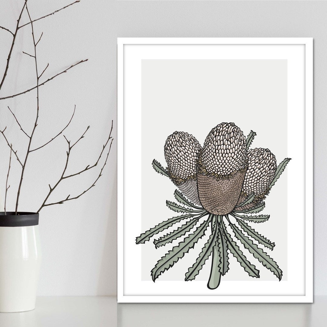 Australian Native Flower Wall Art Print of a Banksia. Etsy Australia
