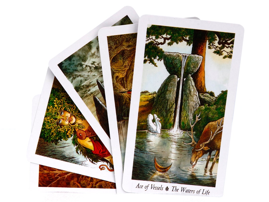 Wildwood Tarot cards deck with guidebook / 78 cards Wild Wood Etsy