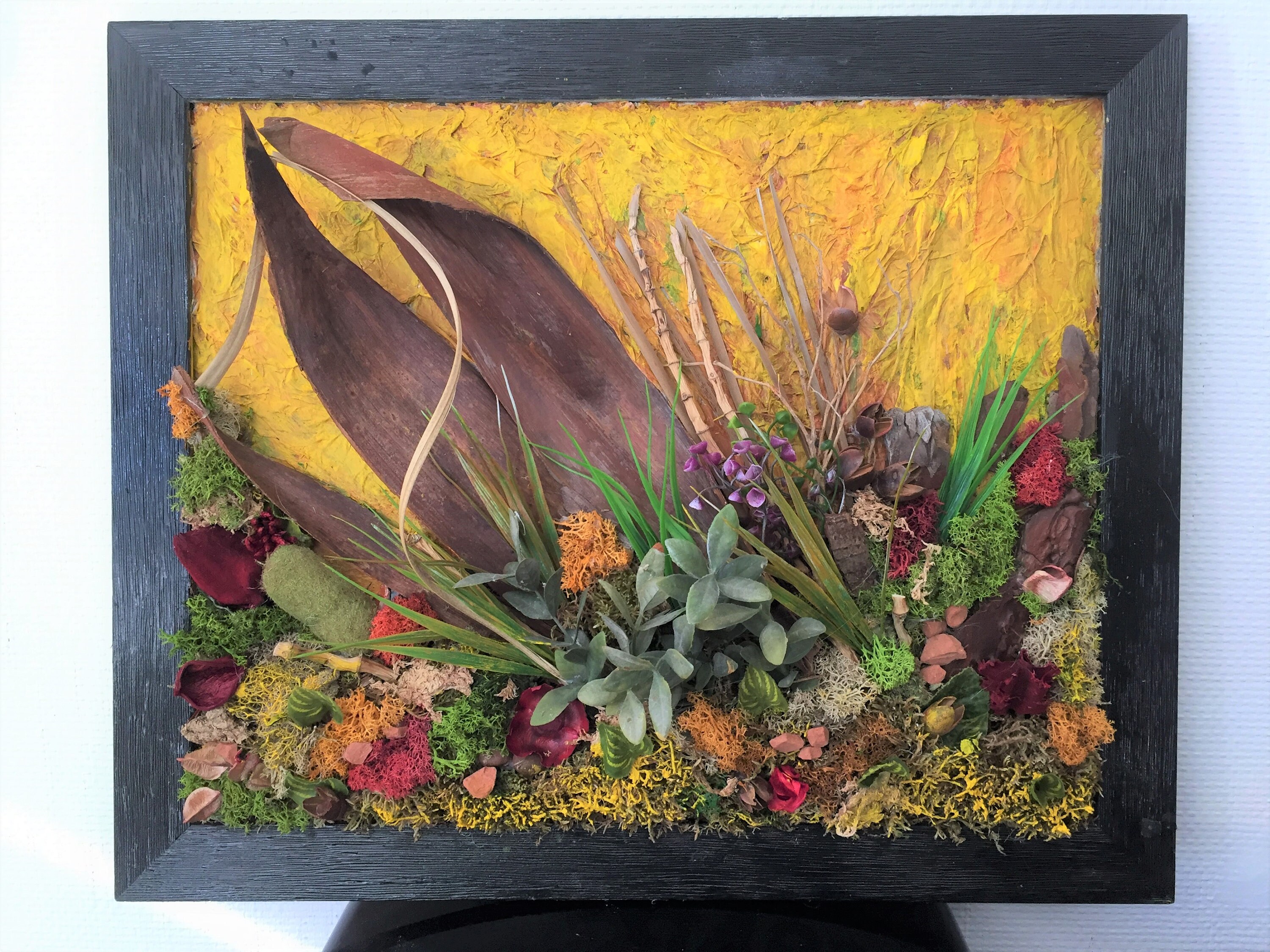 Tableau Végétalisé 57cm X 47cm