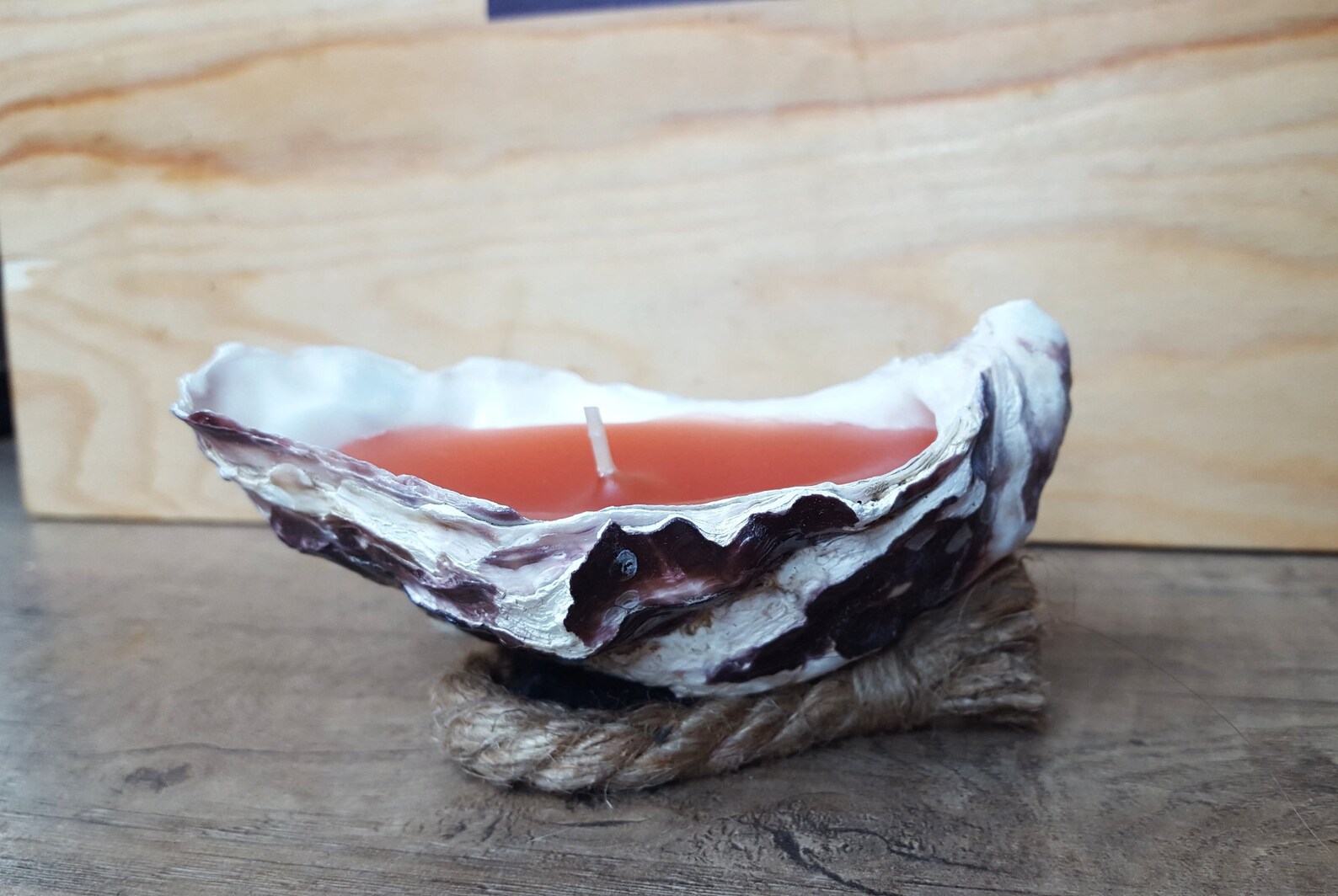 3 Oyster Candles Etsy