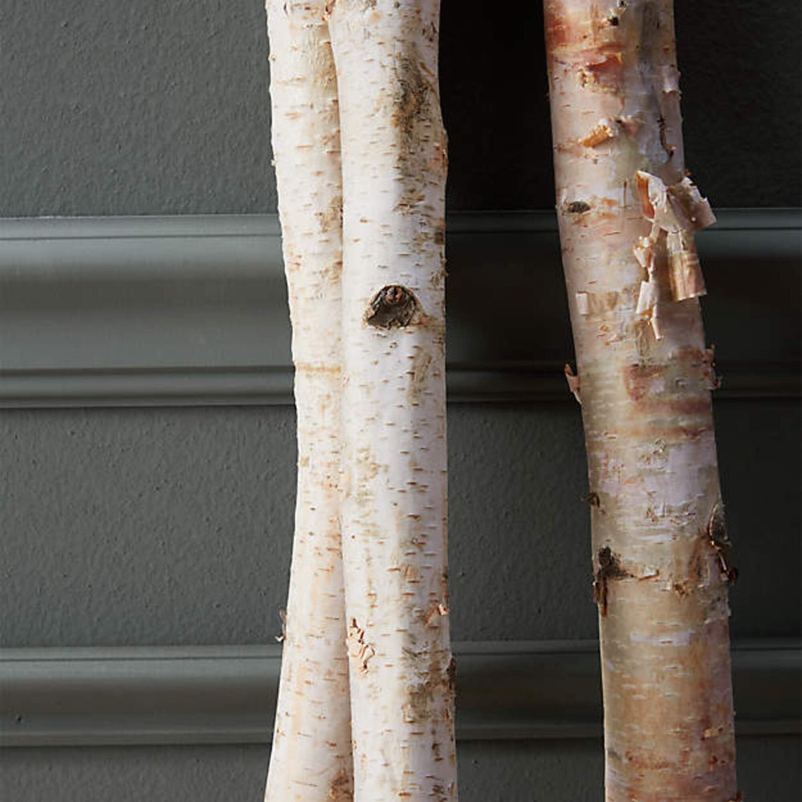 Decorative Birch Tree Set of 3 Real Birch Trees Wedding Etsy