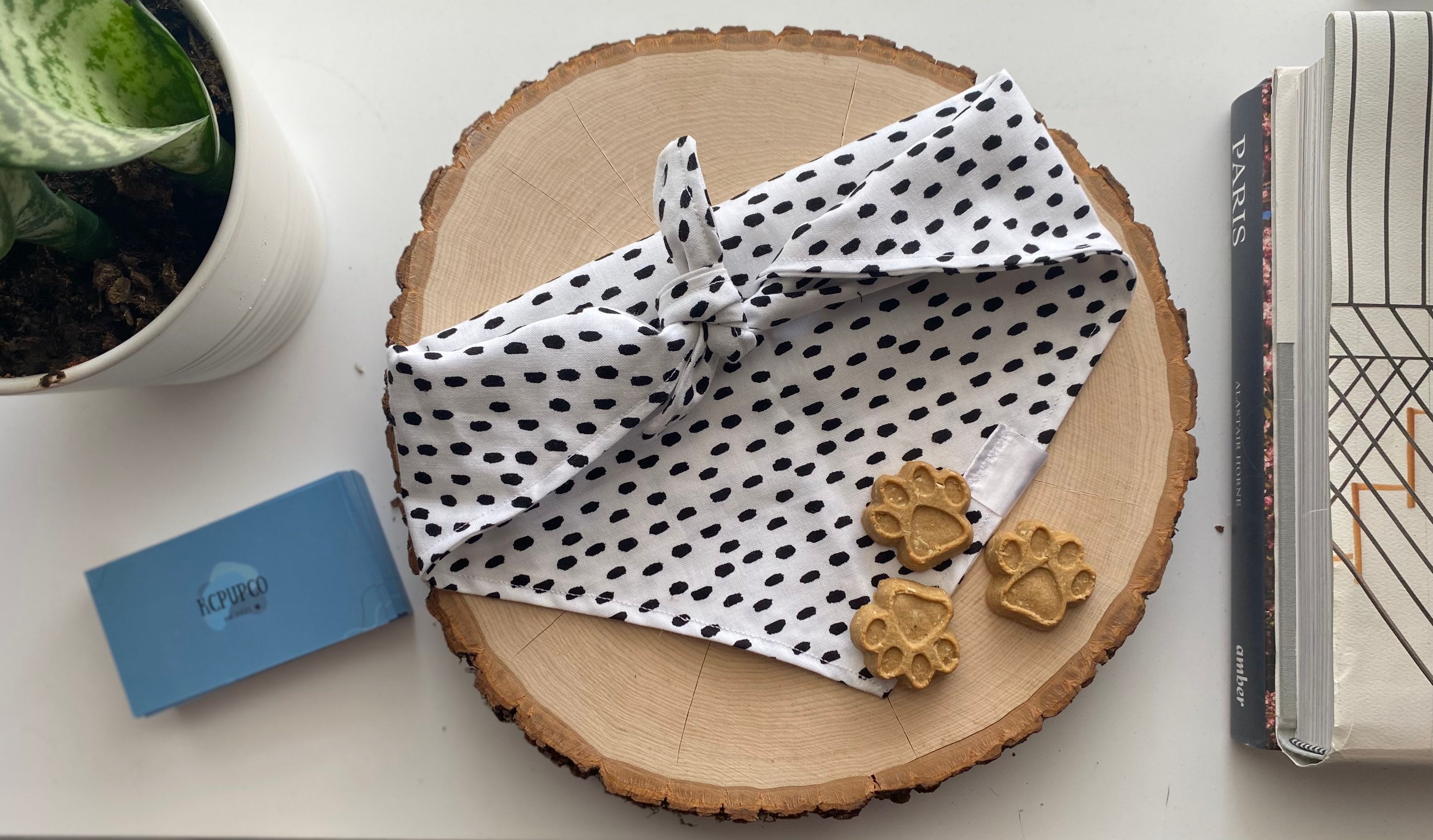Kiwi Bandana Dalmatiner Druck Krawatte auf Bandana für Hunde Etsy