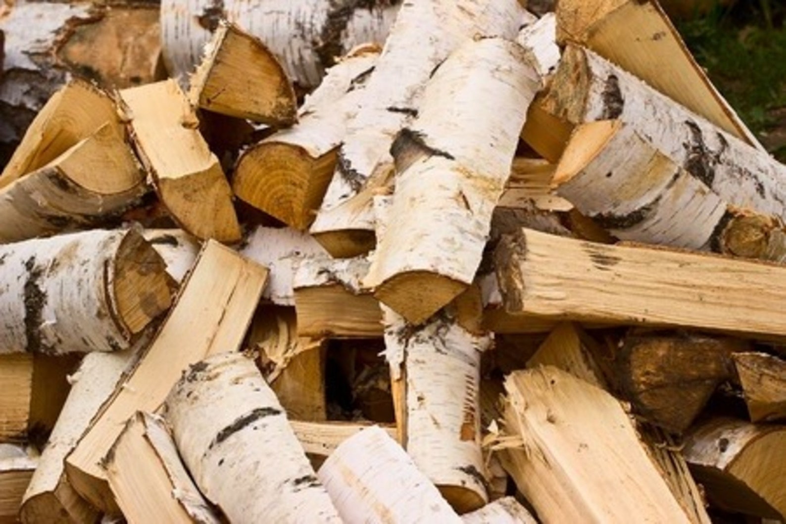 White Birch Firewood Split White Birch Logs for Firewood. Etsy