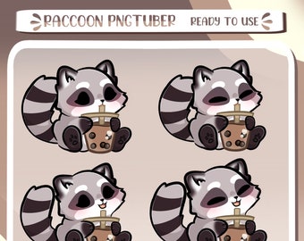 Raccoon PNGTuber for stream