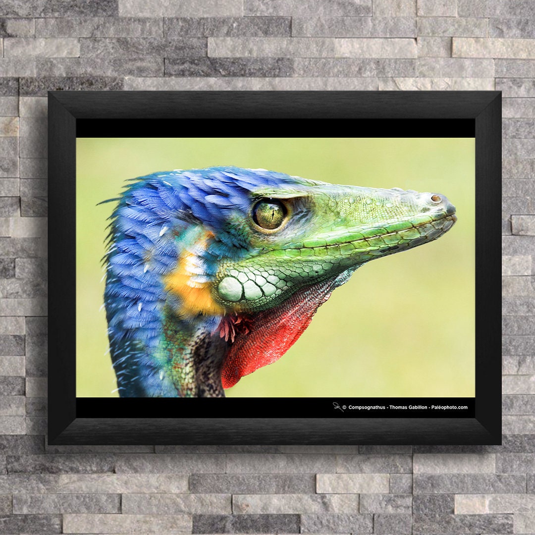 Compsognathus Safari