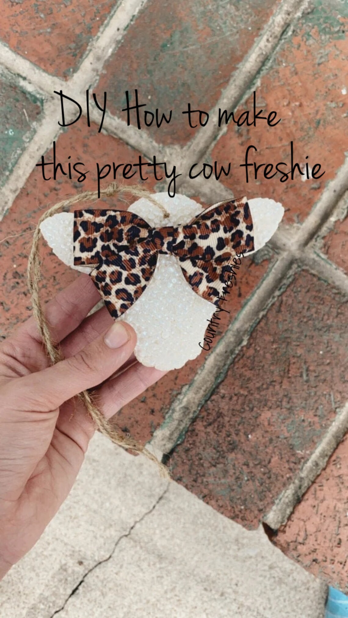 DIY Cow Car Freshie Kit / Car Freshie Starter Kit Etsy