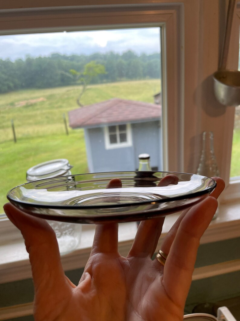 May include: A clear glass saucer with a slight purple tint. The saucer is being held in a hand.