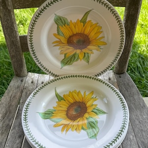 Portmeirion Melmamin Speiseteller Gelb Sonnenblume Botanischer Garten Melamin Geschirr Picknick Camping Kunststoff 4er Set DETAIL LESEN
