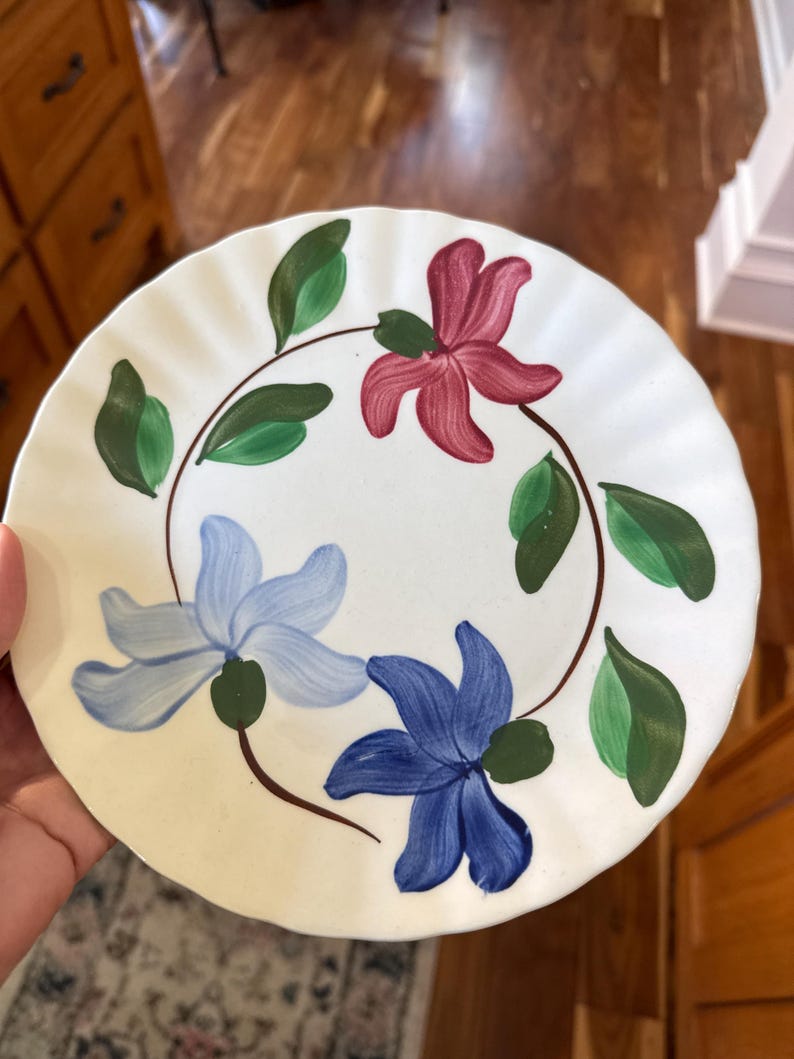 Blue Ridge Southern Pottery Plate: Joyce Pattern Hand-painted Floral ...