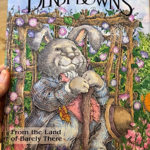 May include: A book cover featuring a cartoon rabbit wearing a blue and pink patterned jacket and a brown hat. The rabbit is sitting on a wooden chair in a garden setting. The book title is "Derby Downs" and the subtitle is "From the Land of Barely There".