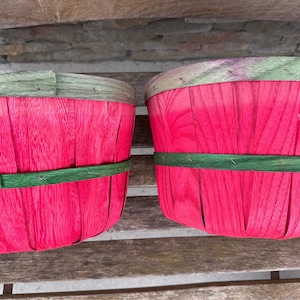 Vintage Apple Picking Basket Red Green Trim Gathering Farmer’s Market Basket Bin Picnic Basket Farmhouse Rustic Beach Decor Set of 2