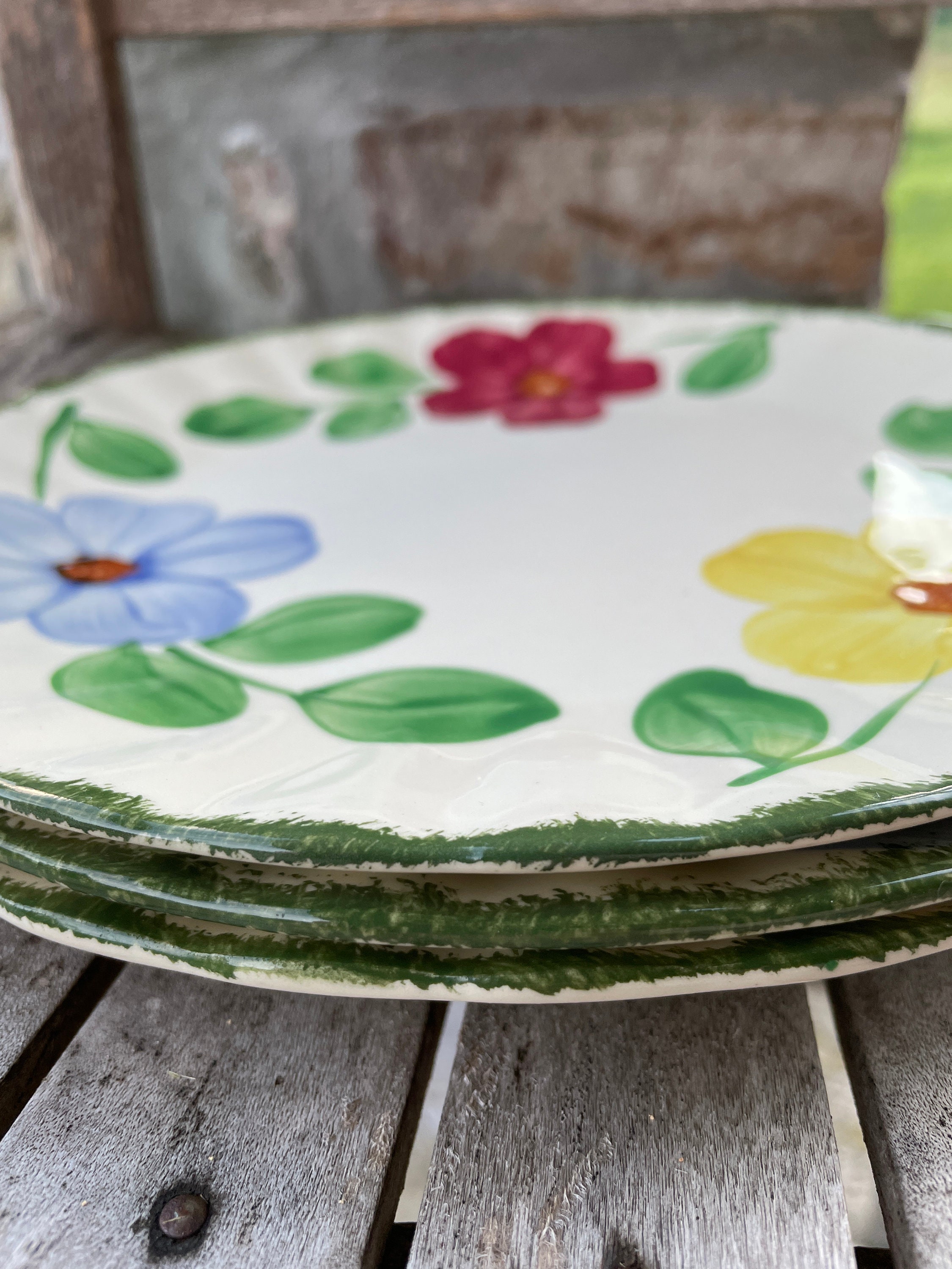 Vintage Blue Ridge Southern Pottery Plate: Ring Pattern Hand-painted ...