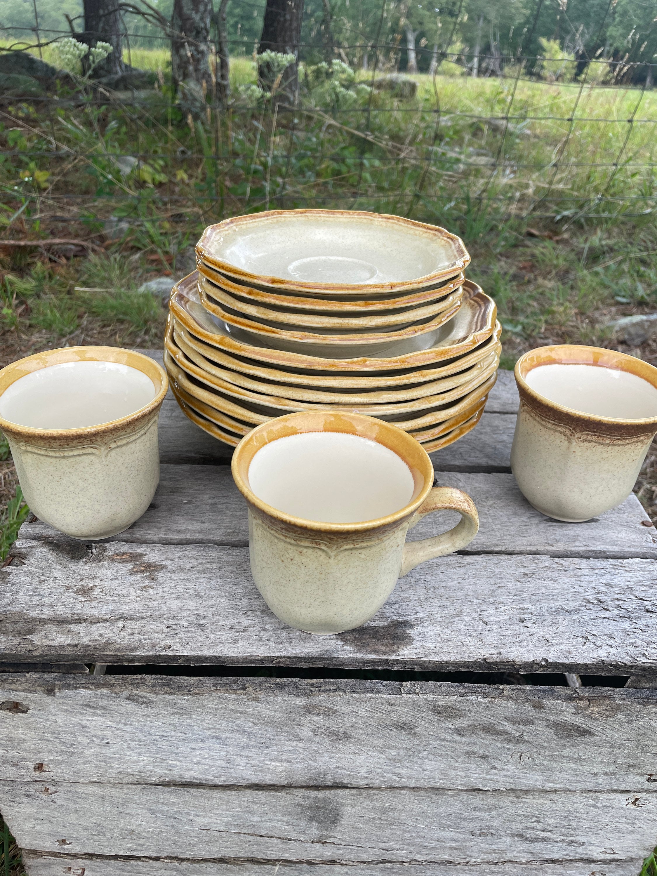 Seashell Dinnerware -  Canada