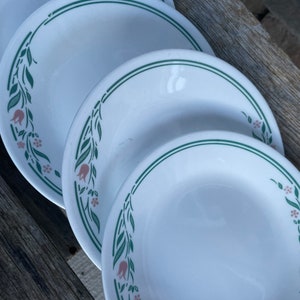 Corelle Rosemarie Bread Butter Plates Farmhouse Dinnerware Pink Green, Set of 4 #T17 READ DETAIL