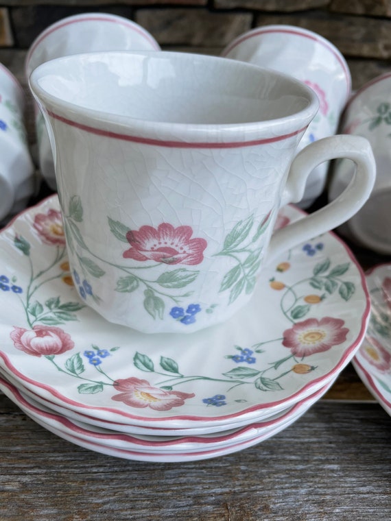 Churchill Briar Rose Teetassen und Untertassen - Pink Floral Englisch Porzellan Set von 7
