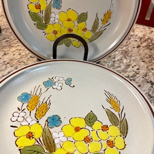 Floral Expressions Springtime Dinnerware Blue Yellow Floral Pattern Dinner Plates Vintage 1970’s Dinnerware, Set of 4 READ DETAIL