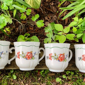 Arcopal Teacups or Coffee Cups White Glass Arcopal France Peony Blossom Vintage Set of 4, #C1