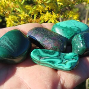 Polished Malachite Freeform XS-XL 23-55mm Hand Polished Green Copper Mineral from Congo DRC Specimen Quality Limited Amount Free Gift Bag