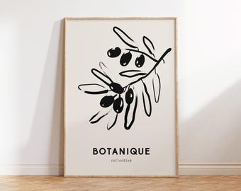 Puede incluir: Una impresión artística enmarcada con una ilustración en blanco y negro de una rama de olivo y aceitunas. La impresión tiene la palabra "BOTANIQUE" y la palabra "collection" impresa debajo de la rama de olivo.