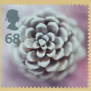 May include: A postage stamp showing a detailed image of a pine cone against a soft, blurred backdrop. The stamp includes a grey silhouette of a woman's profile and the number 68. The stamp has a pale yellow border.