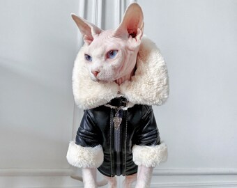 luxury cat clothes