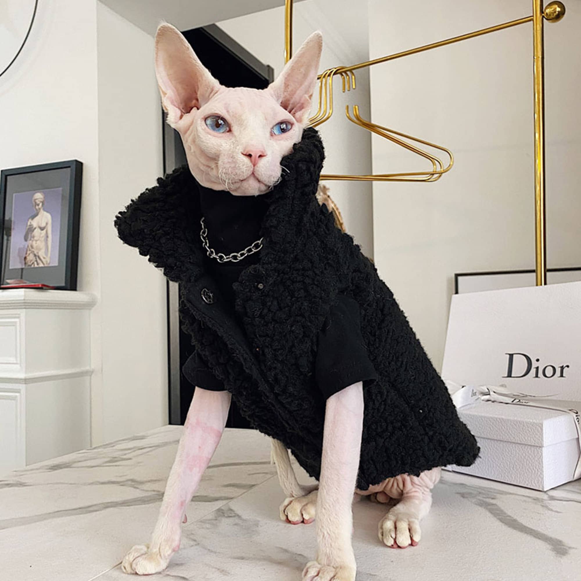 Pet Cat Clothes | Hairless Cat With Winter Coat, Rabbit Velvet Plaid Coat