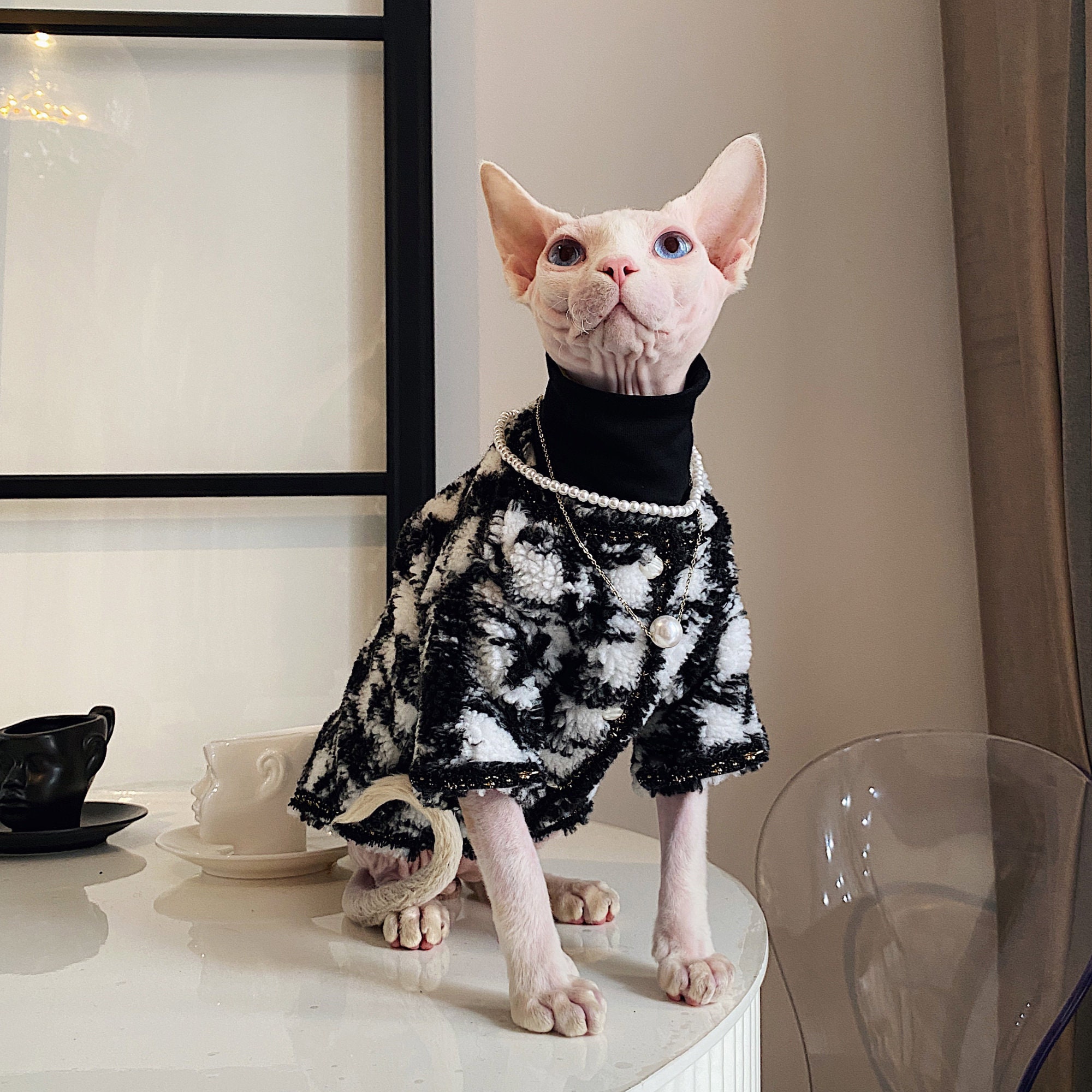 Hairless Cat Clothes Sweater for Cat Sphynx Cat Clothes Luxury Etsy