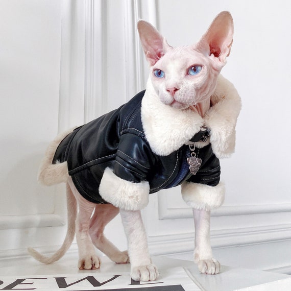 Luxury Cat Sweater Warm Clothes for Cat Sphynx Cat Coat -  Israel