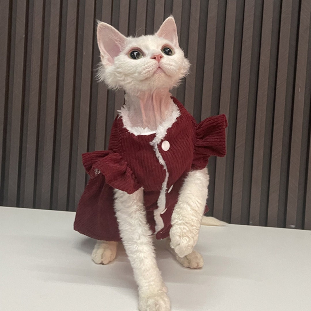 Cute Cat Dress Sphynx Cat Clothes Hairless Cat Skirt Devon Cat Dress