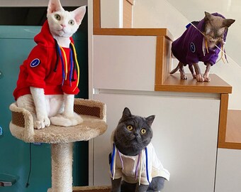 pullover cats