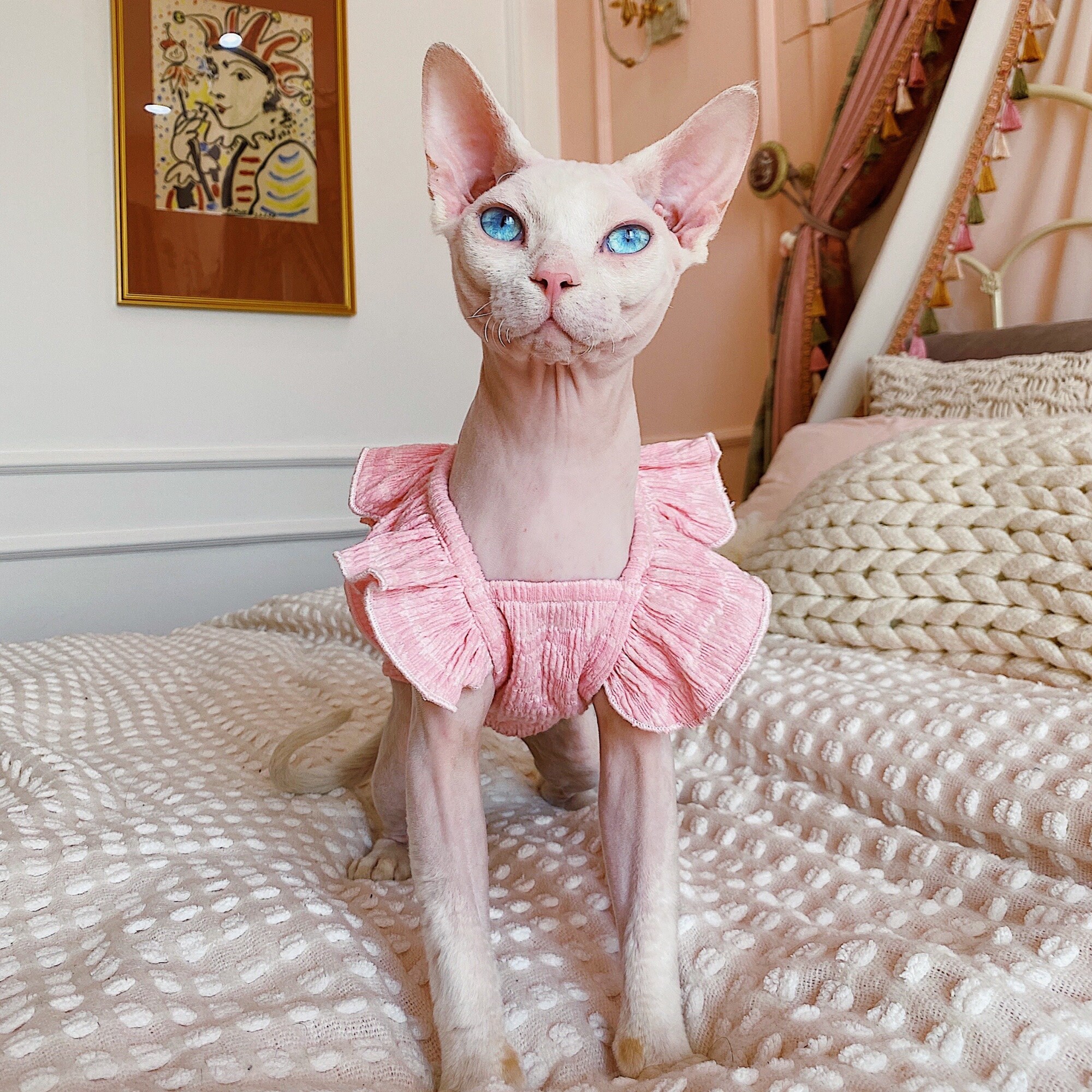 Kotomoda Sphynx Cat's Turtleneck Unicorn In PINK Naked Cat Clothes Hairless  Cat Clothes