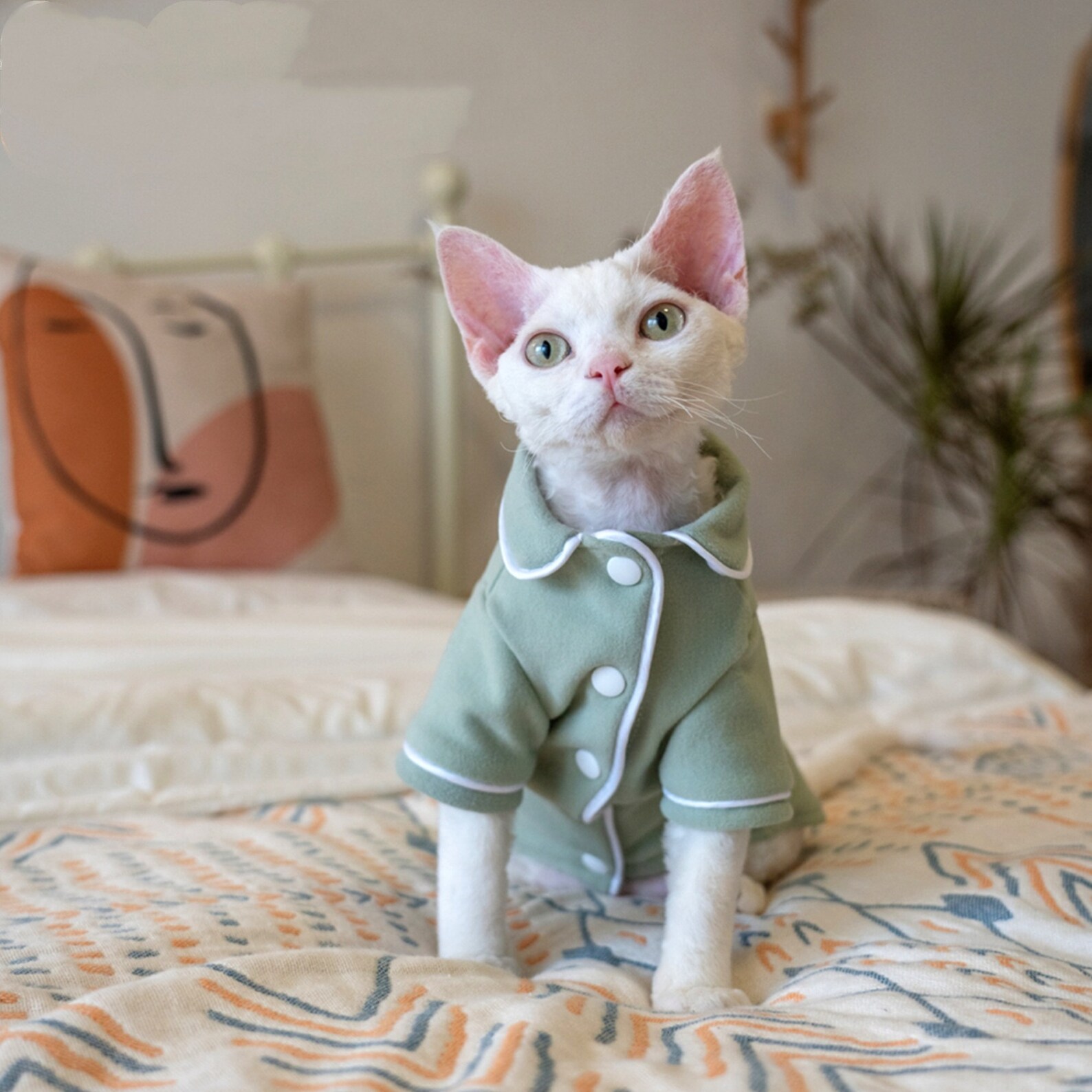High Quality and Comfortable Cat Clothes Hairless Cat Clothes Etsy