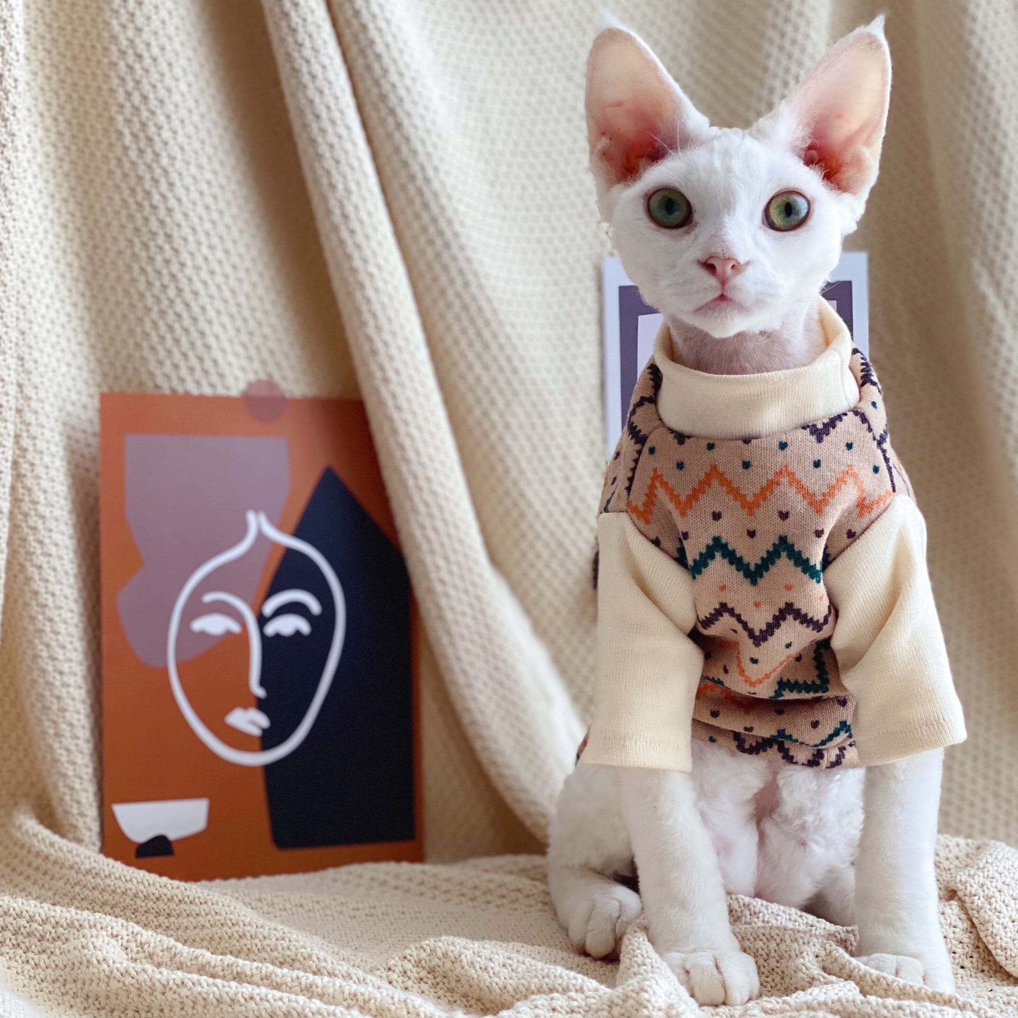 Cat Clothes Hairless Cat Clothing Velvet Fashion Top for Cats Etsy