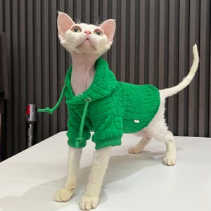 Cozy Green Hoodie for Hairless Cat, Hoodie for Winter, Sphynx Cat Clothes image 2