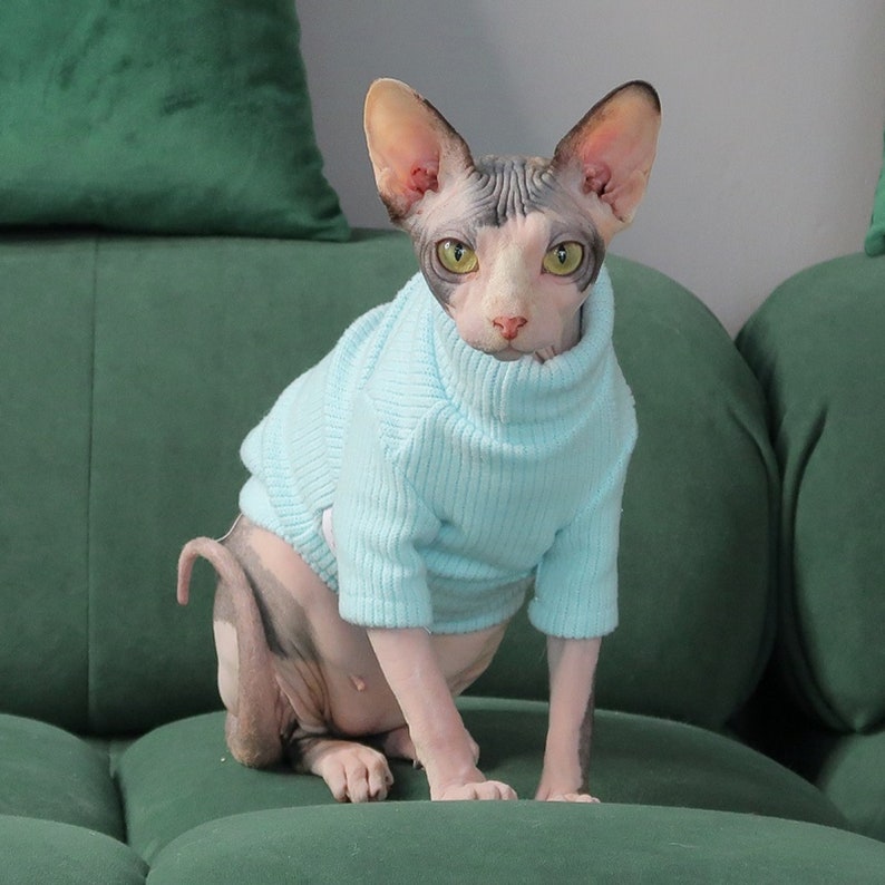 Cat Clothes Hairless Cat Clothes Sphynx Cat Clothes Minimalism Etsy