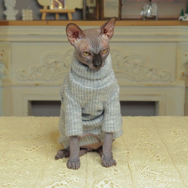 Cat Clothes Hairless Cat Clothes Sphynx Cat Clothes Minimalism Etsy