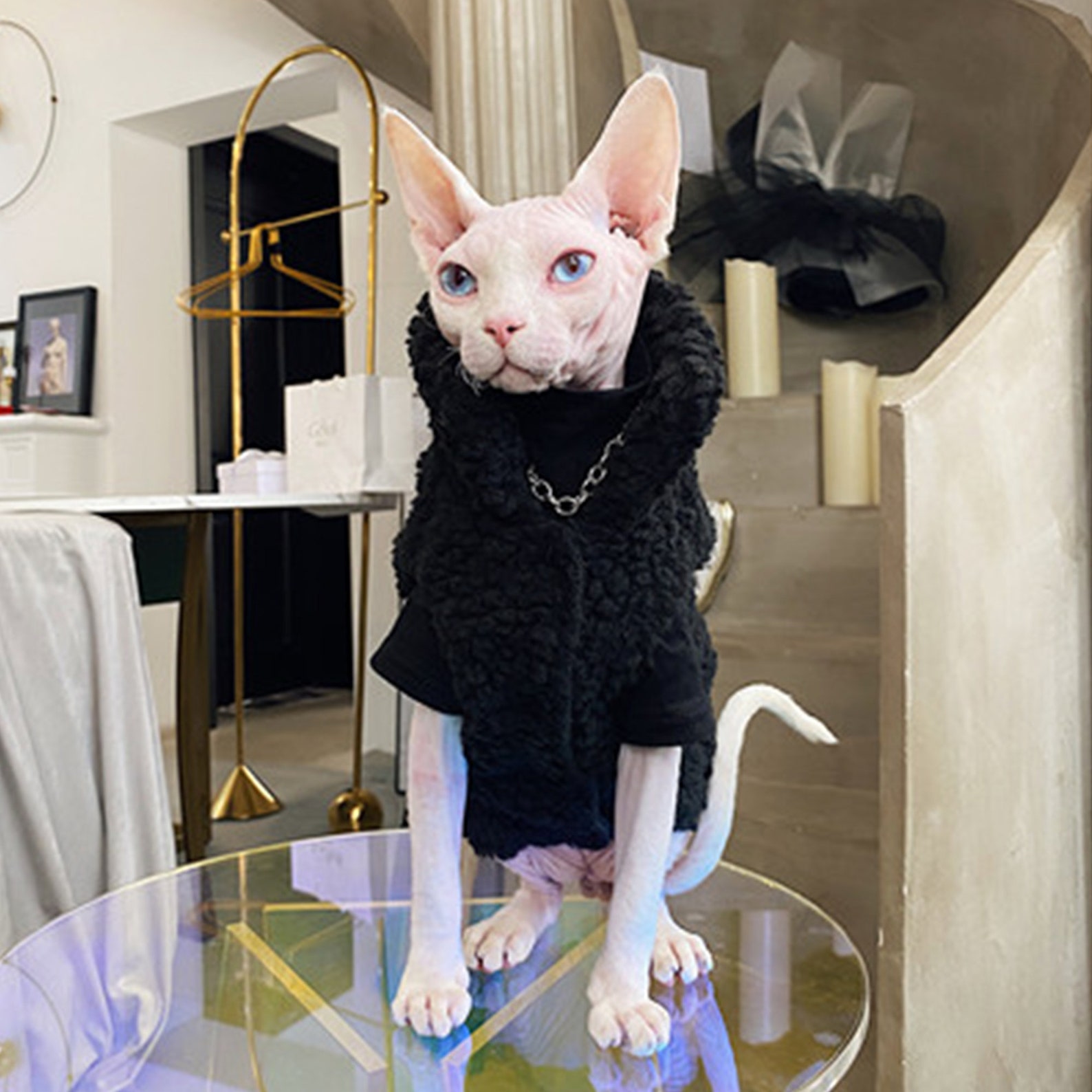 Awesome Cat Coat Velvet Sweater for Sphynx Cat Hairless Cat - Etsy