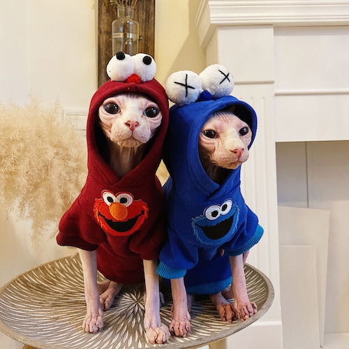 Cozy Cat Clothes Sphynx Cat Sweater Hairless Cat Coat Devon Cat Clothes Adorable Velvet Cat Clothing Cat Hoodie