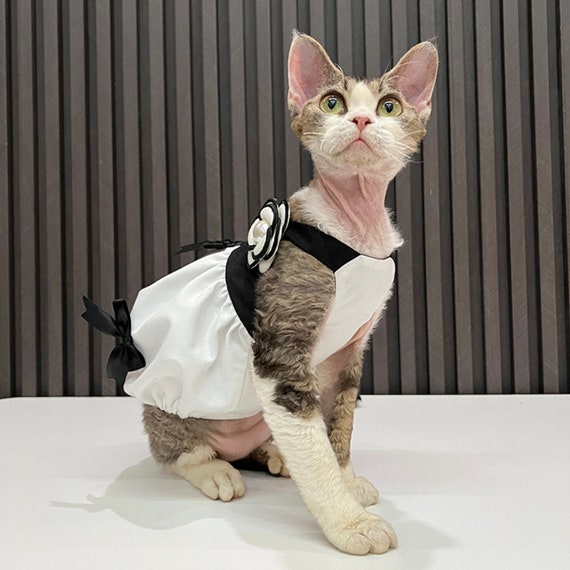 Black and White Princess Cat Dress for Cat Beautiful - Etsy