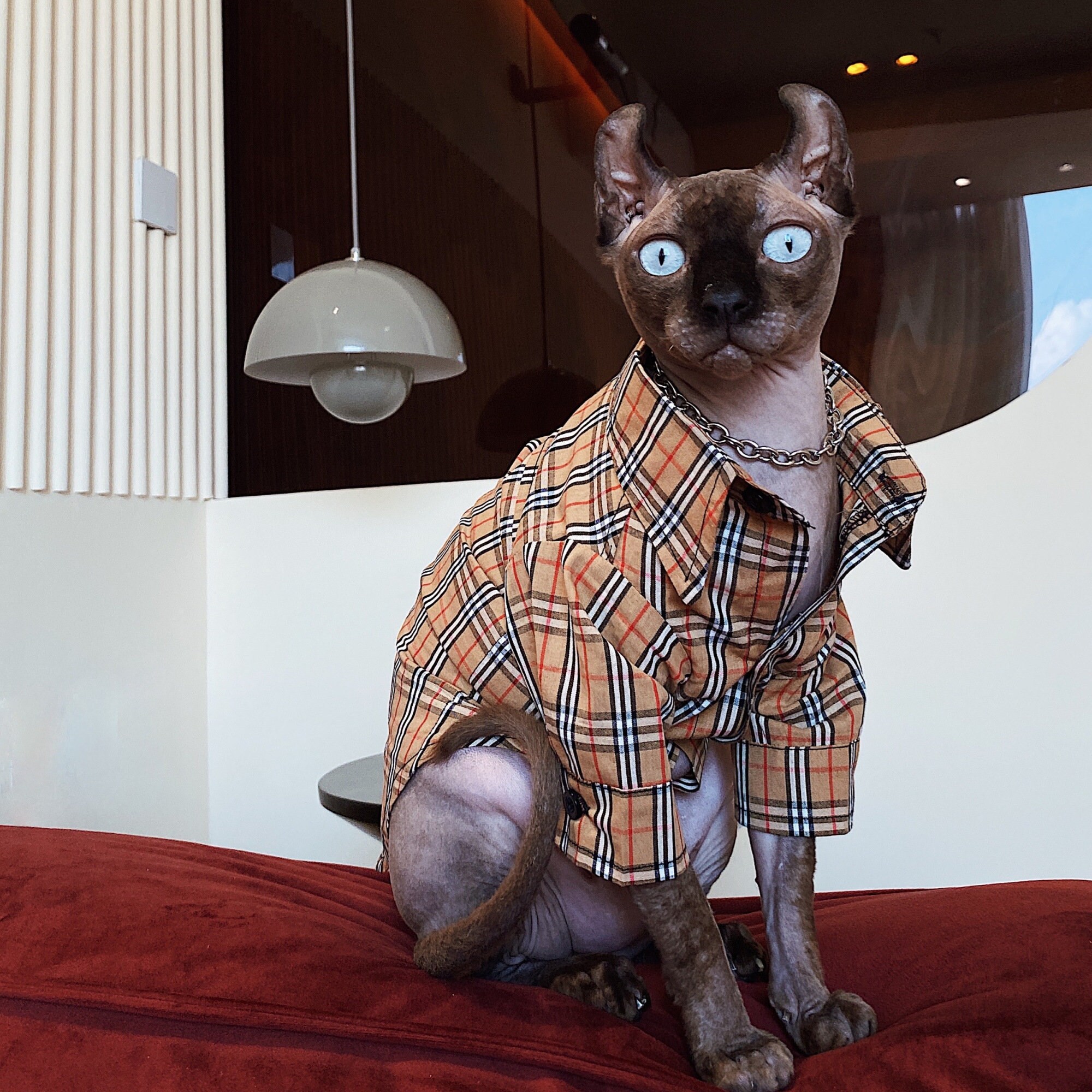 Flannel shirt top for cat