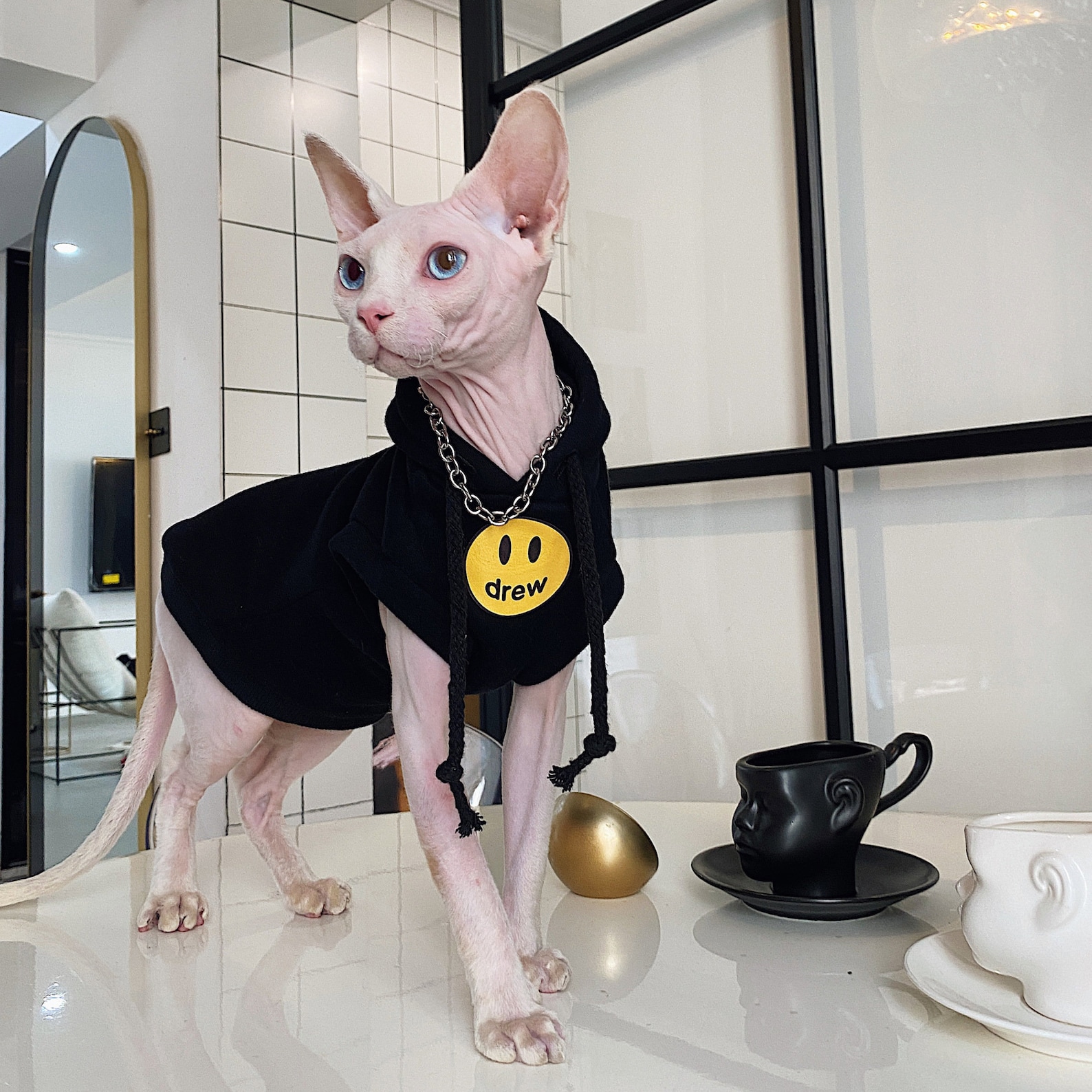 Cotton Hairless Cat Clothes Sphynx Cat Clothing Hooded Smile Etsy