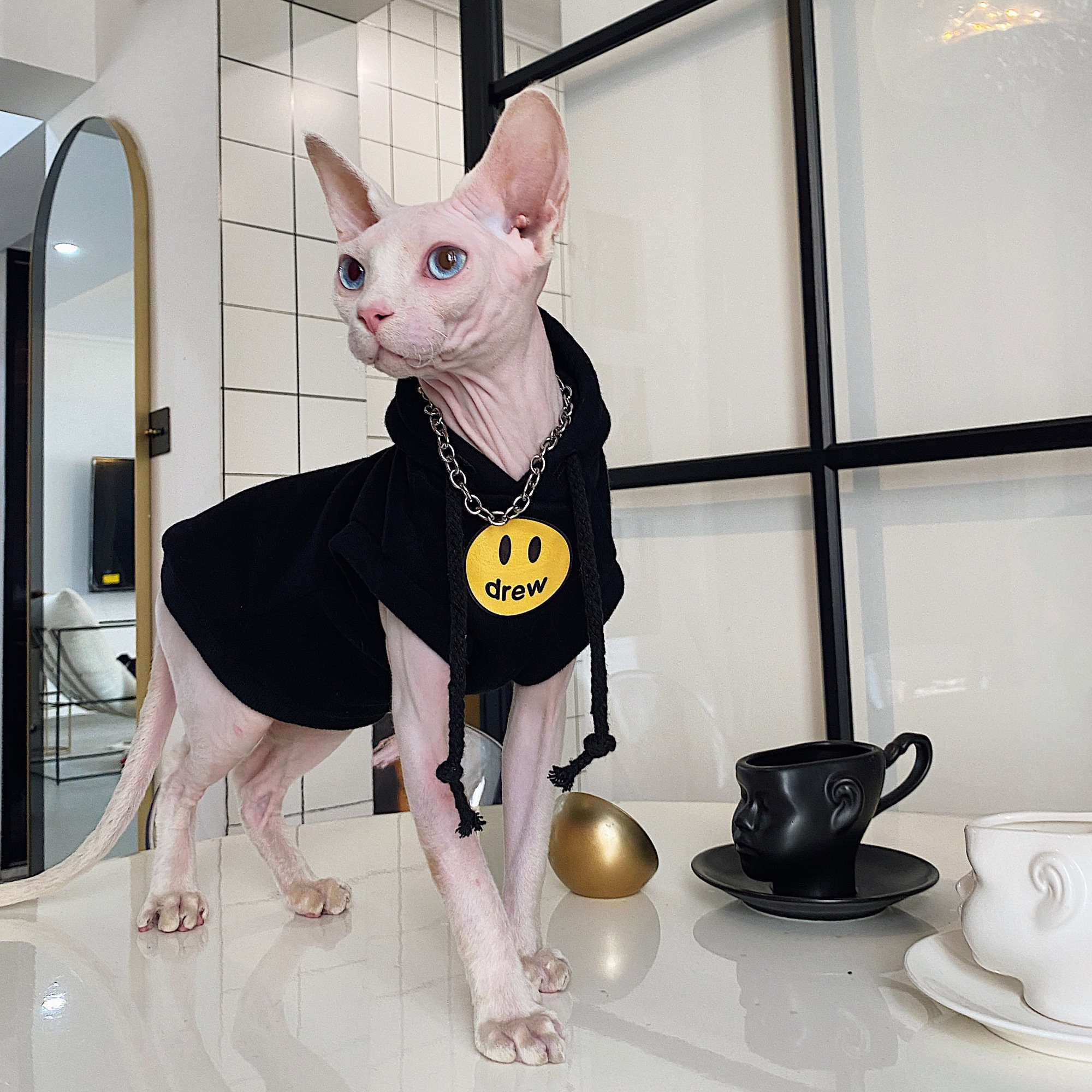 Cotton Hairless Cat Clothes Sphynx Cat Clothing Hooded Smile | Etsy