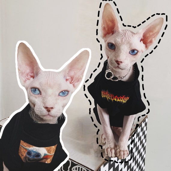 Awesome Cat Coat Velvet Sweater for Sphynx Cat Hairless Cat 