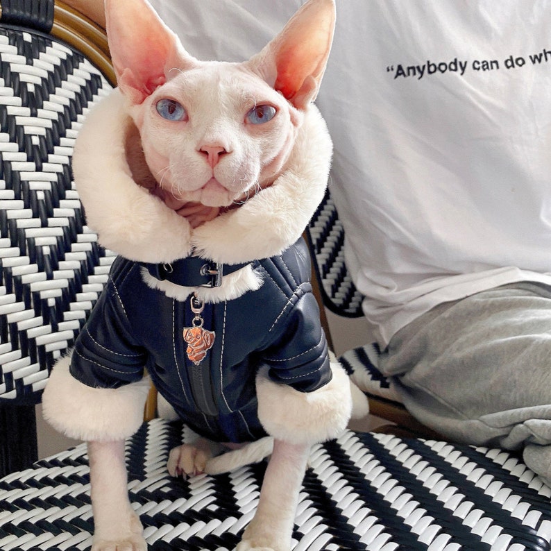 Luxury Cat Sweater Warm Clothes for Cat Sphynx Cat Coat Etsy