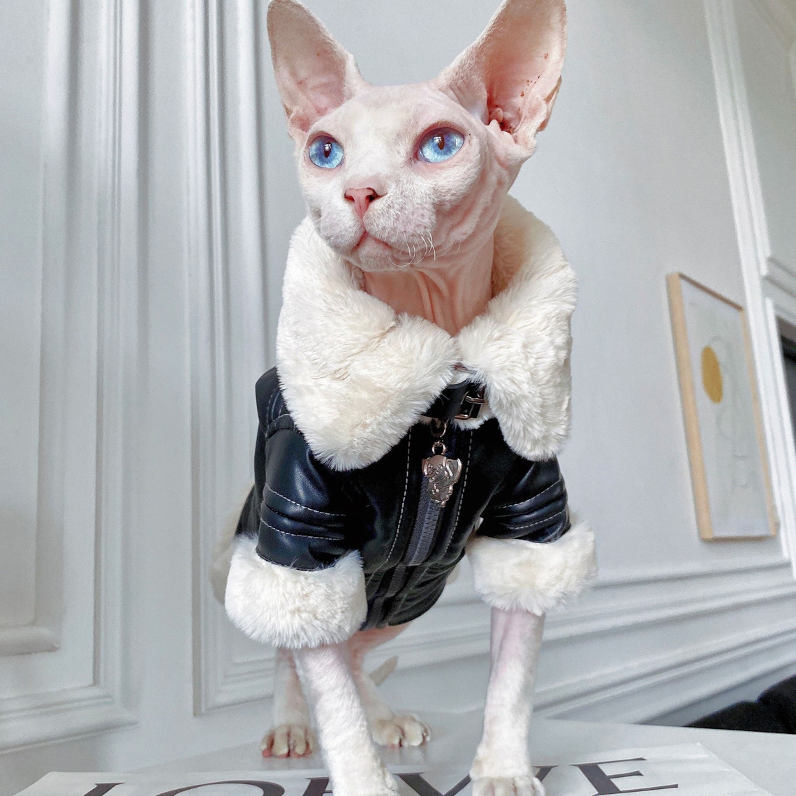 Luxury Cat Sweater Warm Clothes for Cat Sphynx Cat Coat - Etsy