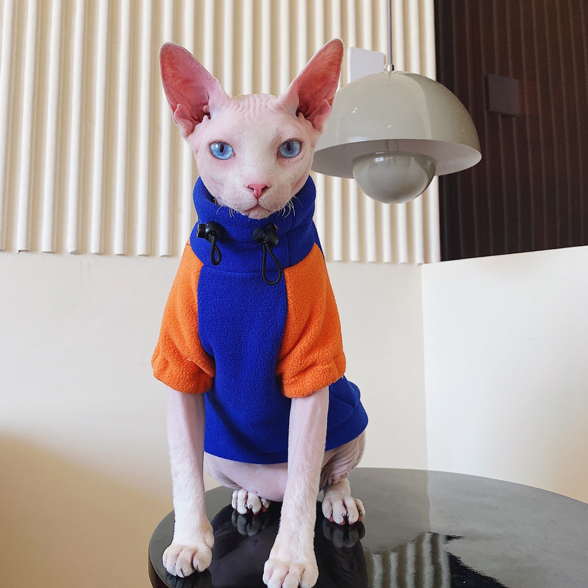 Orange cat shop hoodie