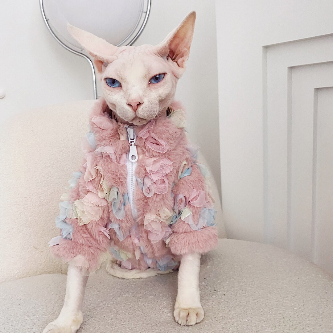 Colorful Coat for Hairless Cat Sphynx Cat Winter Cat Etsy