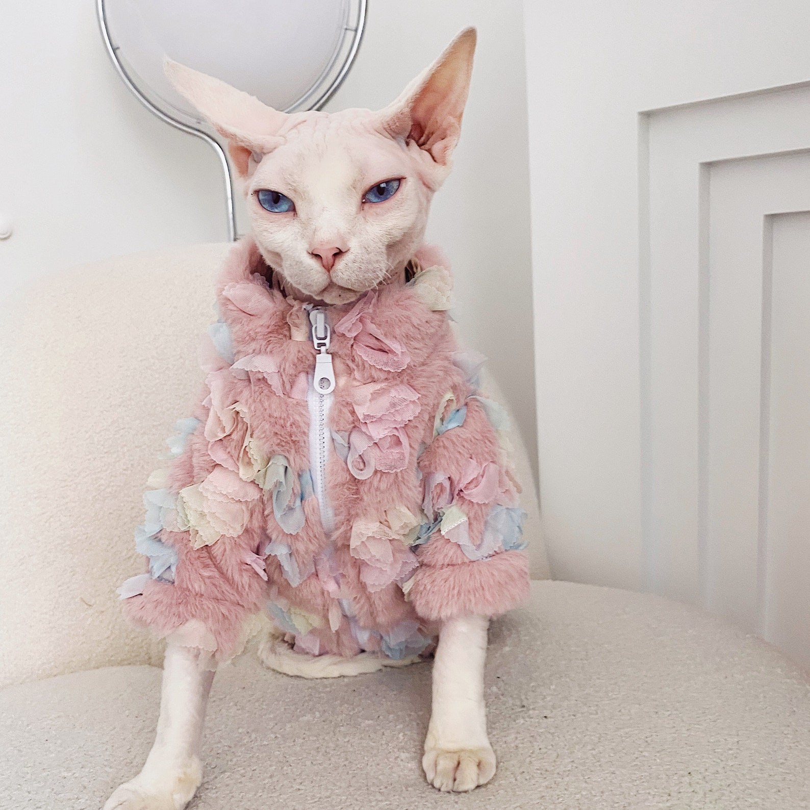 Colorful Coat for Hairless Cat Sphynx Cat Winter Cat Etsy